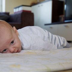 IMG 067